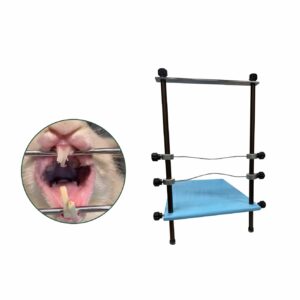 Mesa Odontológica para Roedores